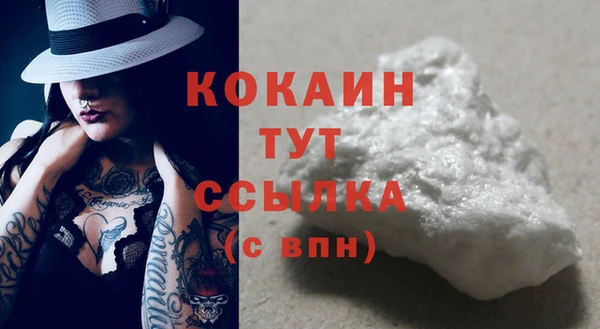 гидропоника Дмитриев
