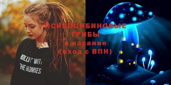 гидропоника Дмитриев