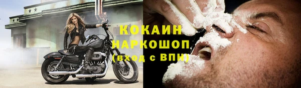 гидропоника Дмитриев