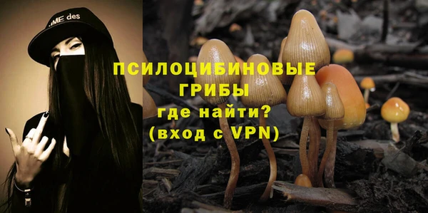 меф Дмитровск