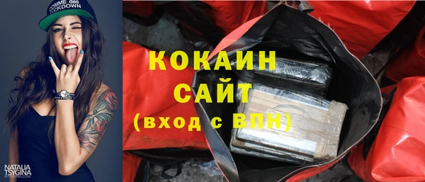 гидропоника Дмитриев