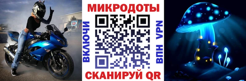 Псилоцибиновые грибы Psilocybe Первомайск